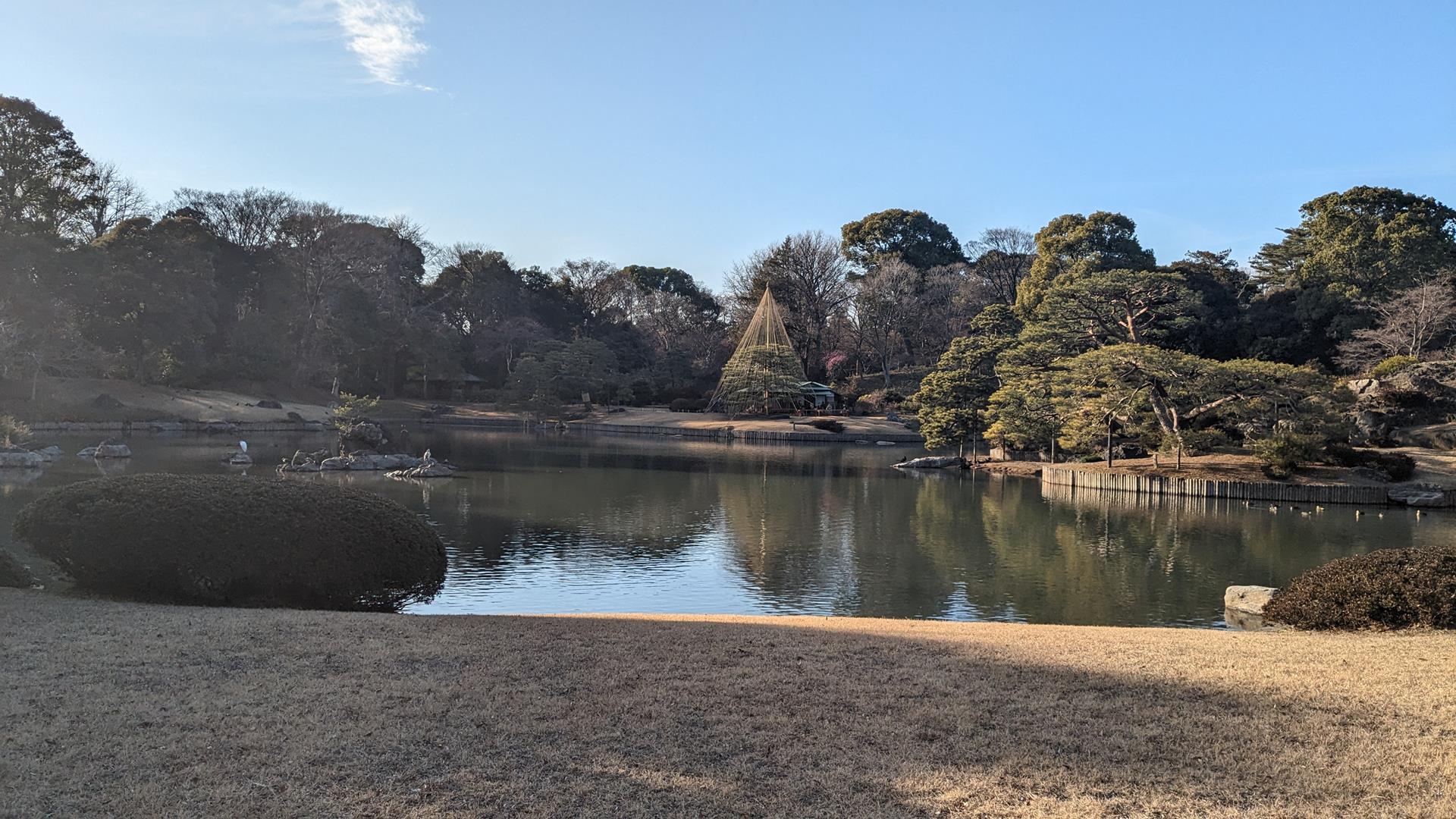 六義園の梅を見に行った。本数が思ったより少ないので注意!