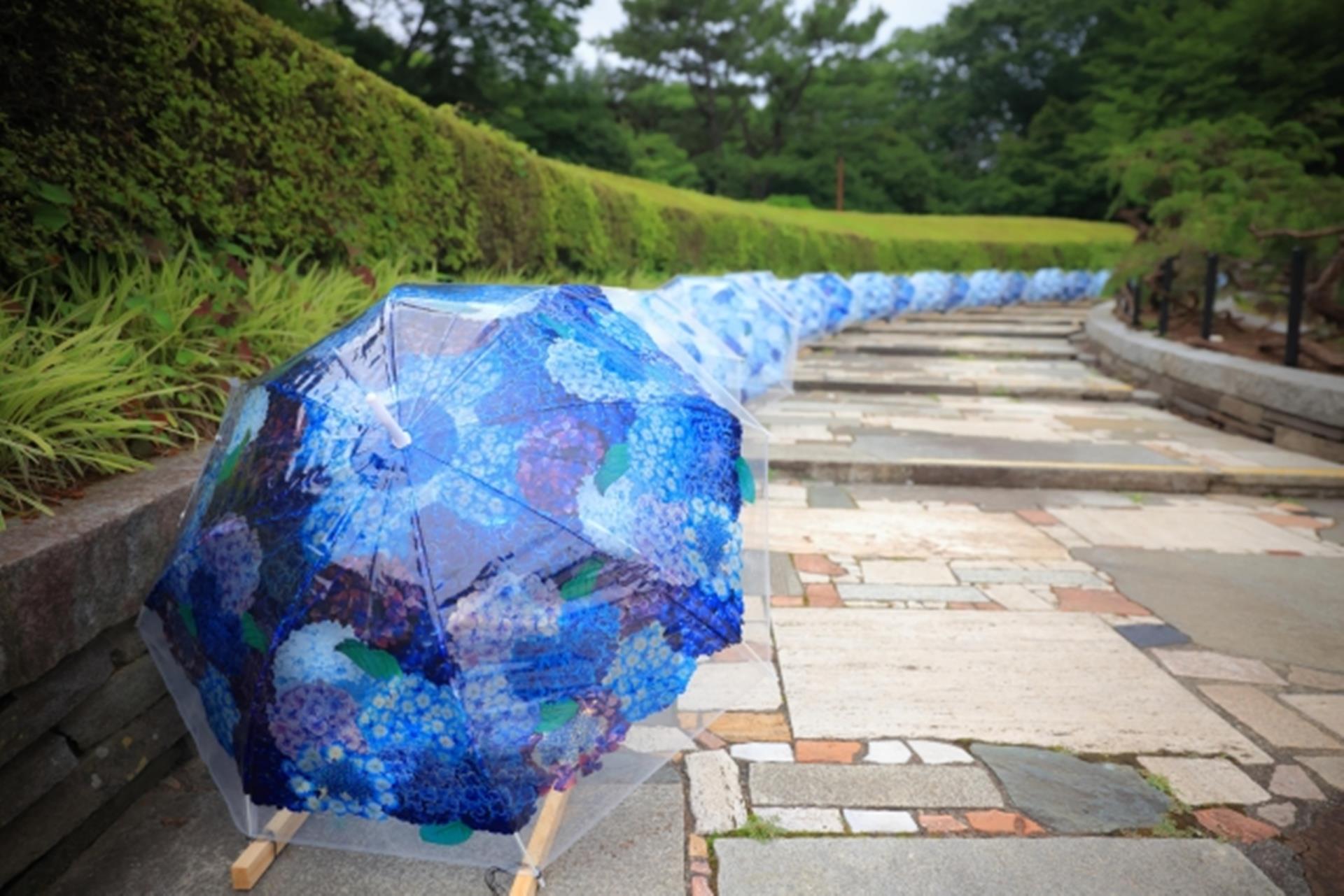 東京・多摩の絶景あじさいスポットで「東京・多摩の紫陽花めぐり2025」が開催!デジタルスタンプラリーで抽選でのプレゼントも