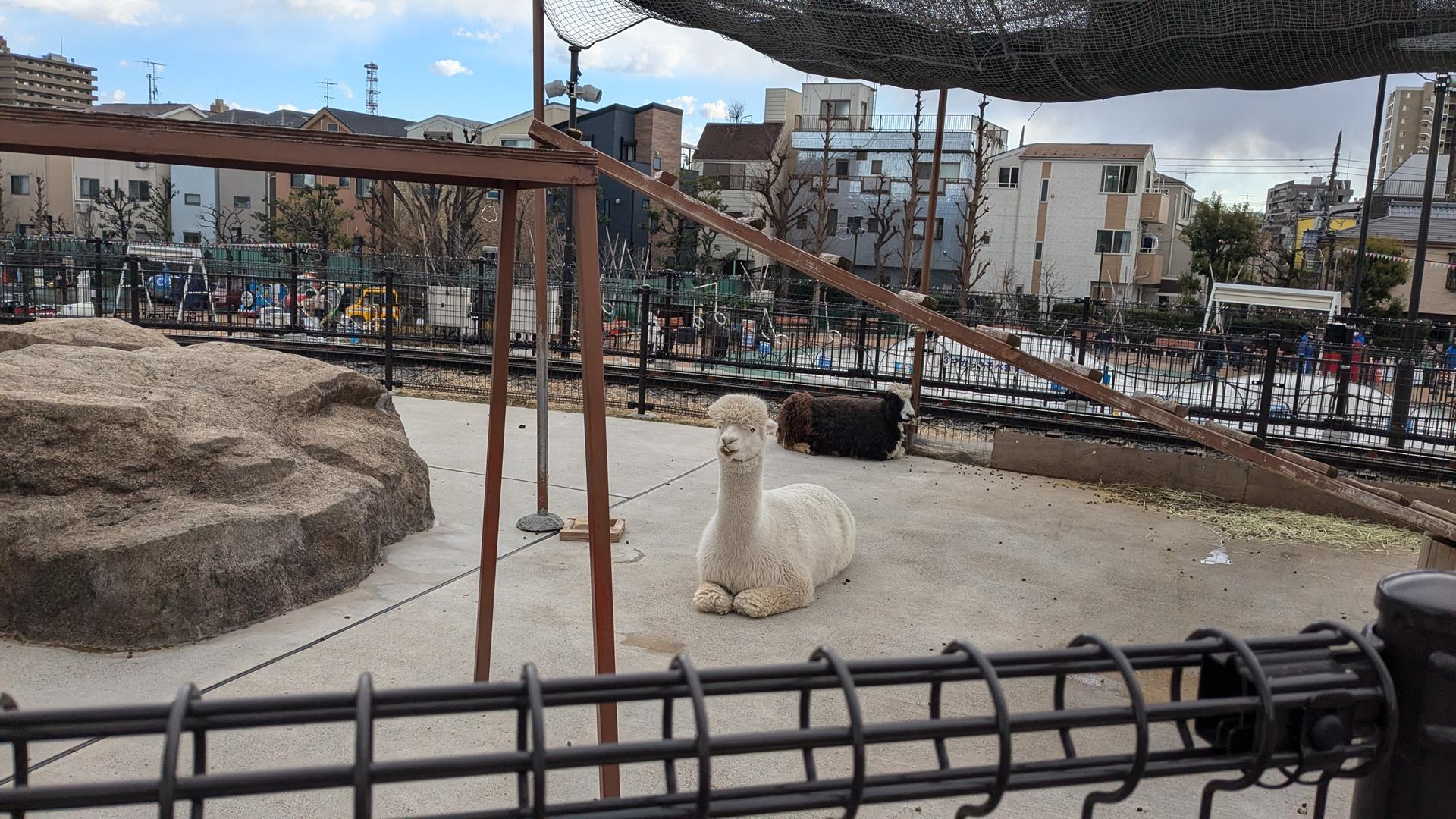 このためだけに入園してもいい!あらかわ遊園「どうぶつ広場」の魅力