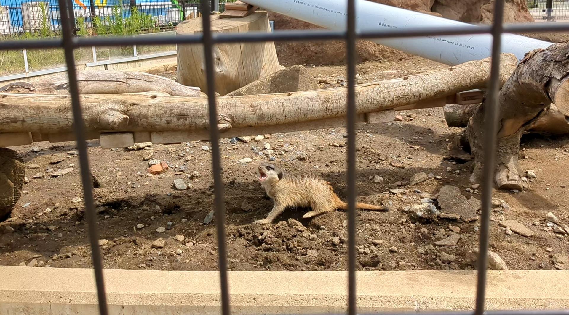このためだけに入園してもいい!あらかわ遊園「どうぶつ広場」の魅力