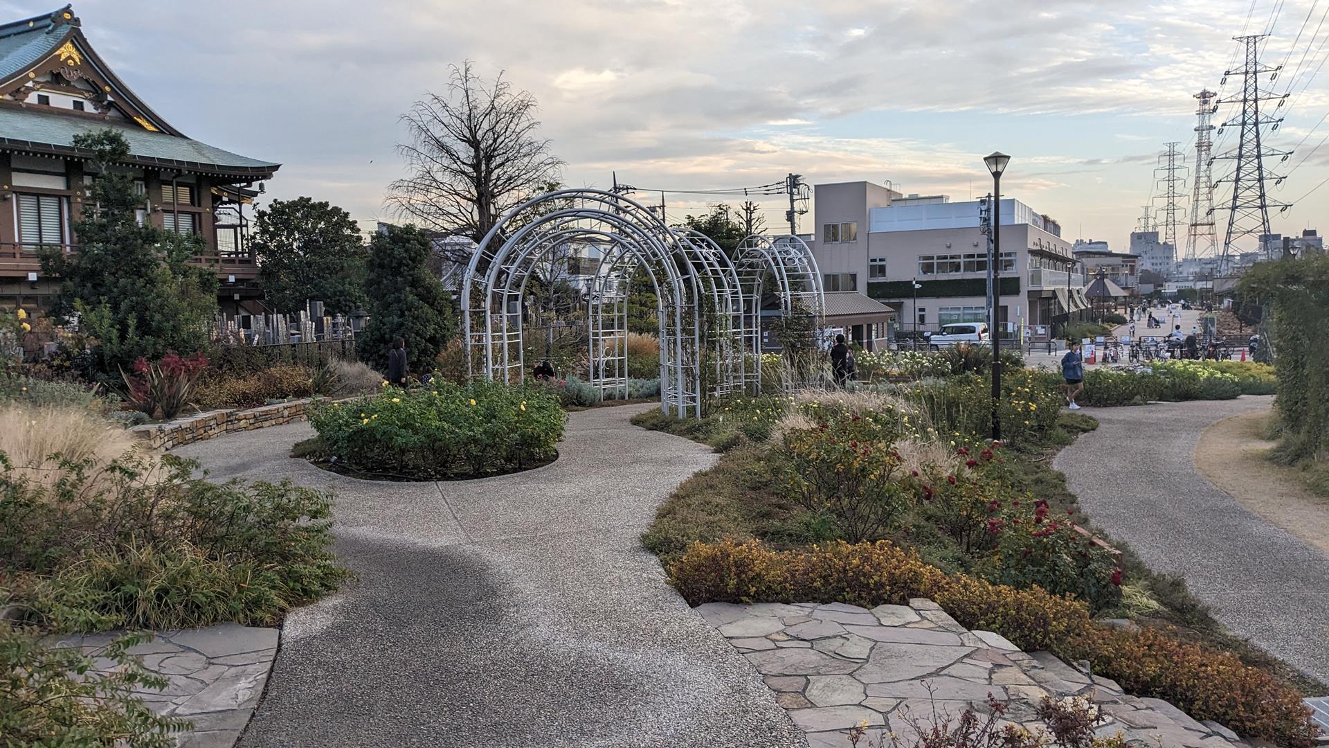 12月でも咲いていた!あらかわ遊園と宮前公園の秋バラを鑑賞