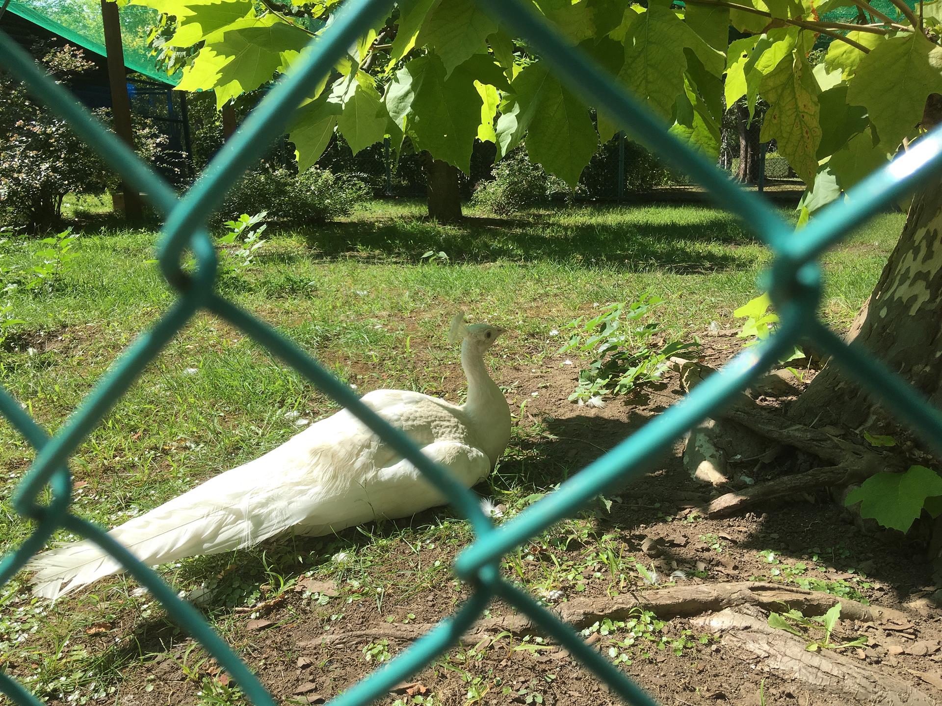弘前城植物園