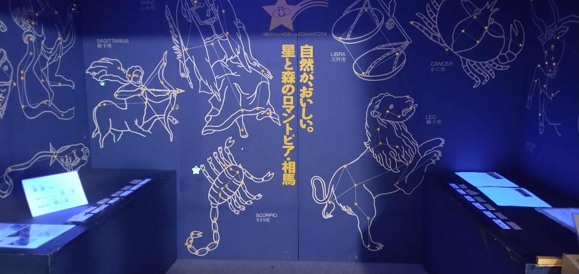星と森のロマントピア