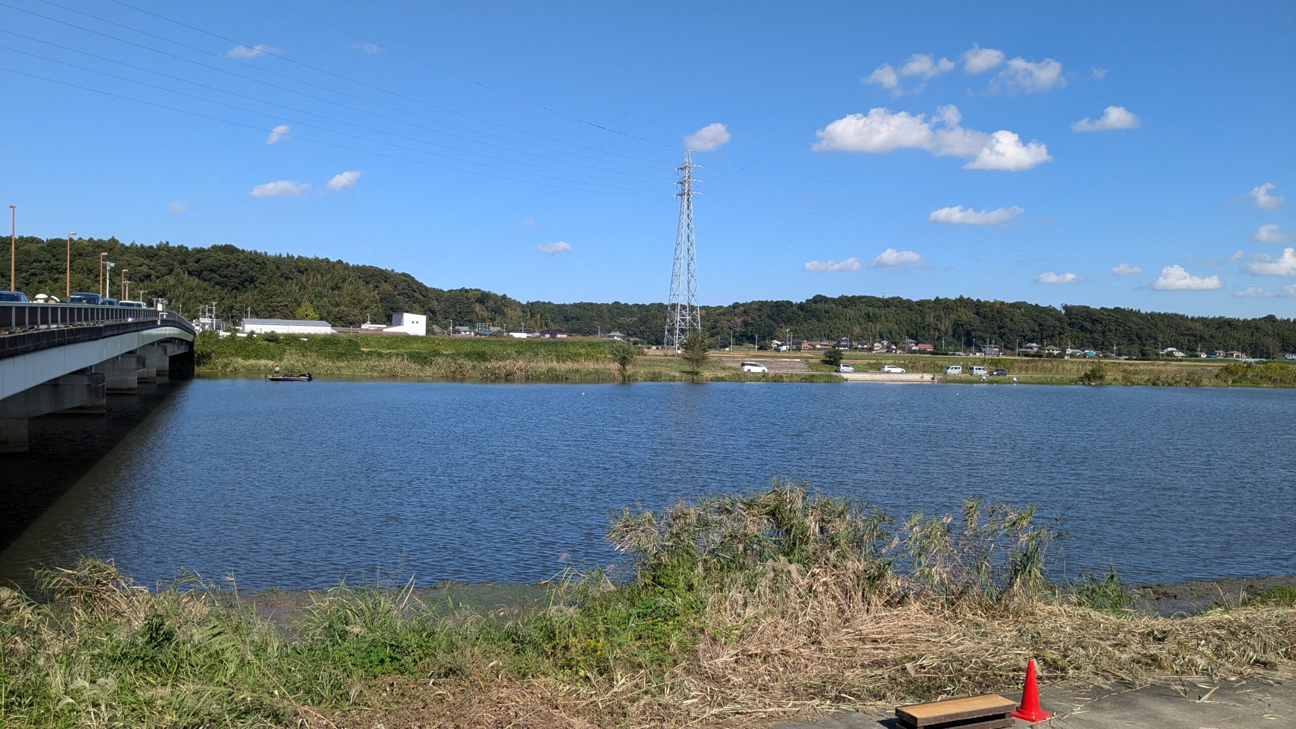 【体験レポ】佐倉ふるさと広場のコスモスフェスタ2024へ行ってきた