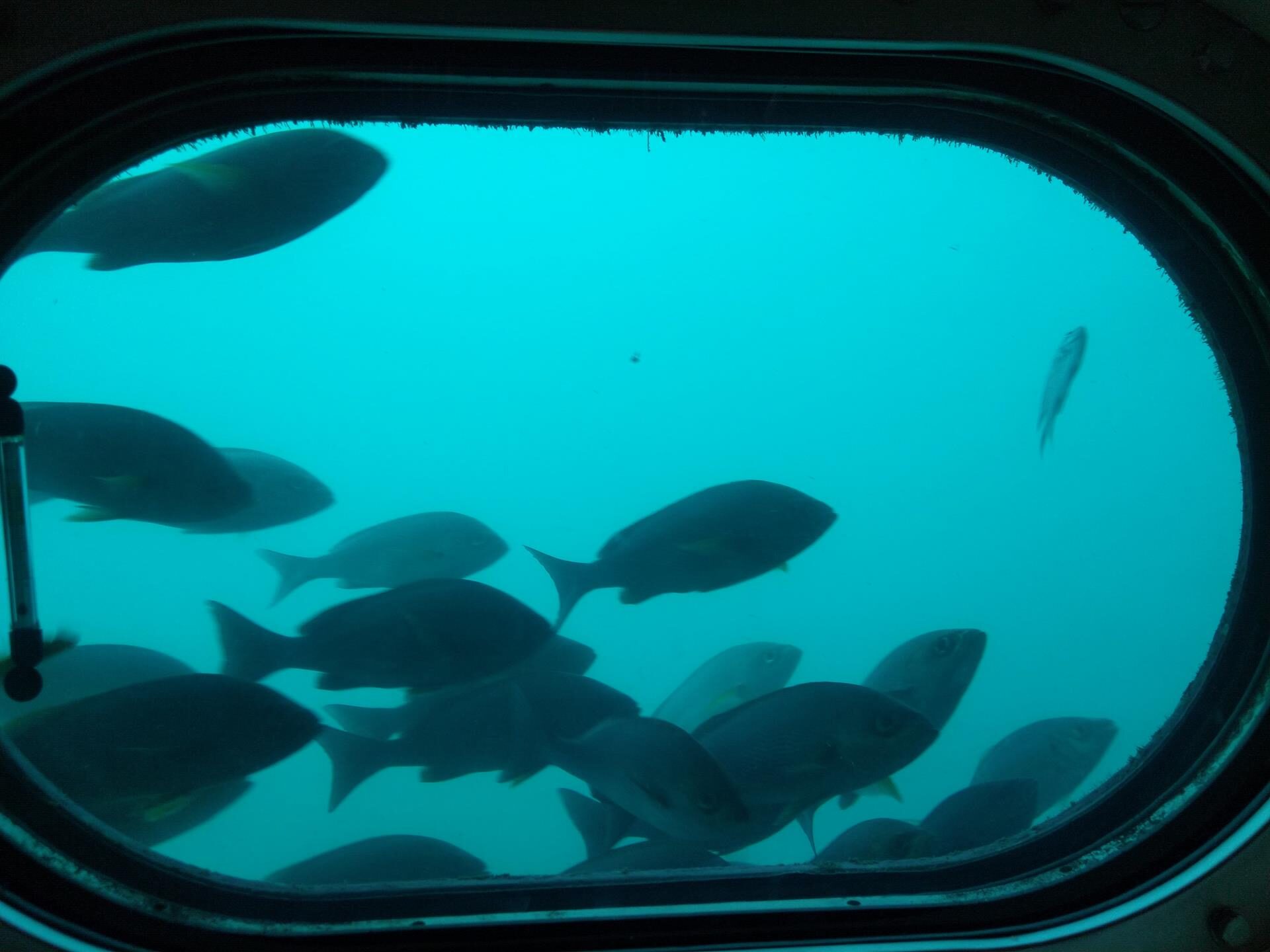 かつうら海中公園海中展望塔