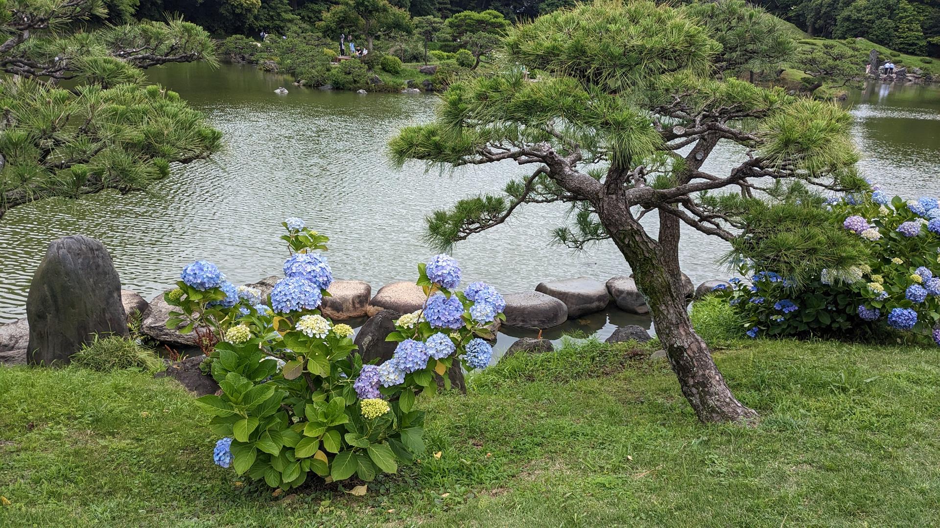 清澄庭園