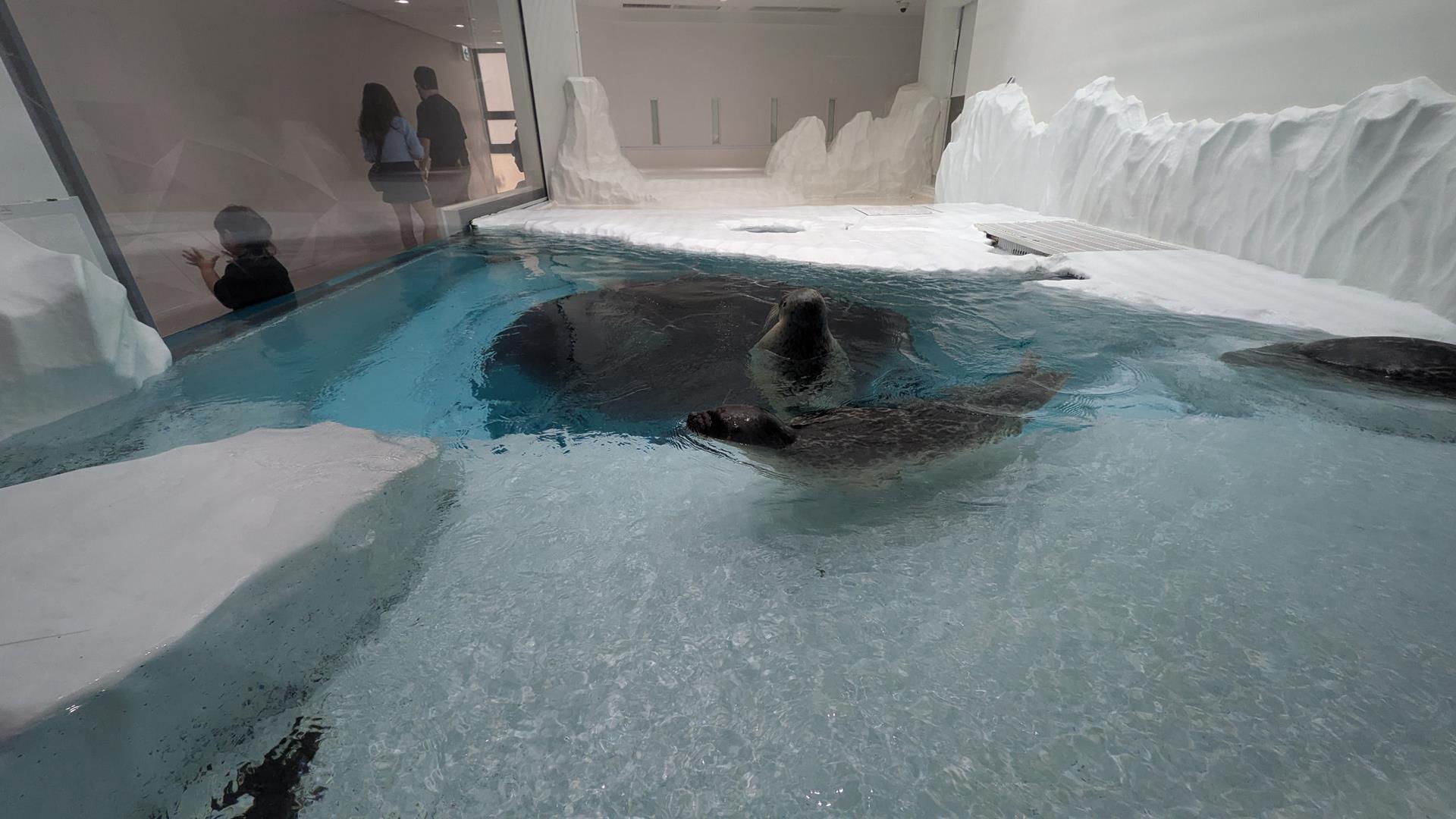 大阪関西万博・USJ・海遊館を楽しむ2泊3日の大阪旅行